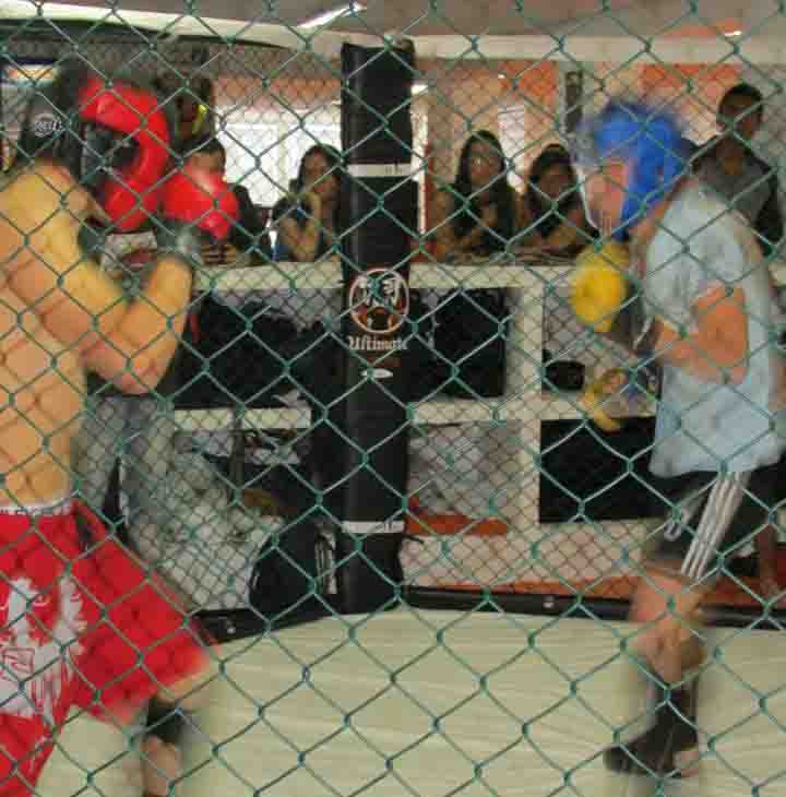 clases de mma en bogota
